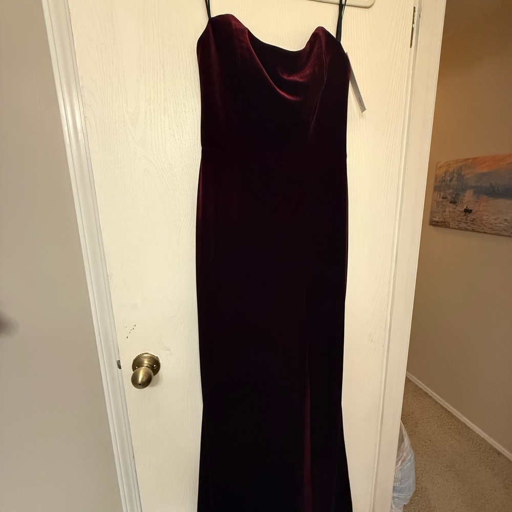 Aqua Strapless Burgundy Velvet Dress